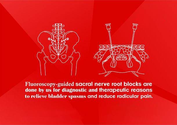 abdomen-pelvic-pain image