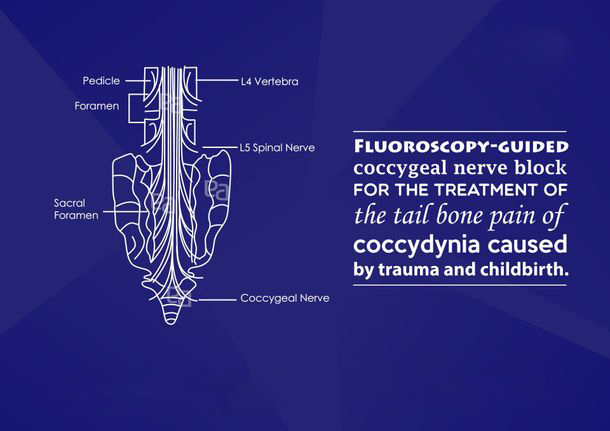 abdomen-pelvic-pain image