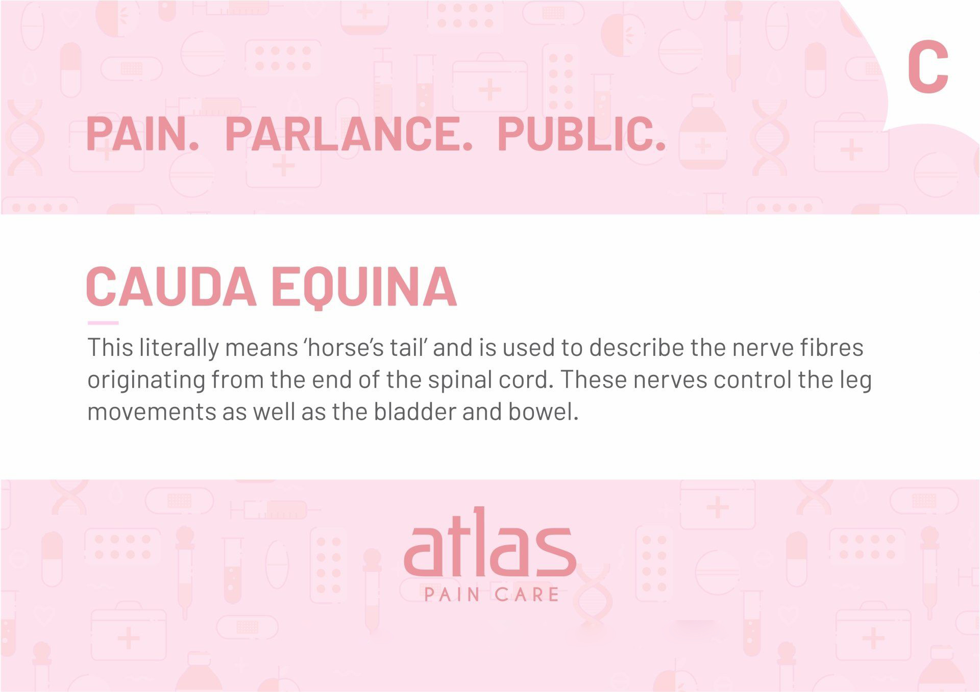 Pain Glossary image - Atlas